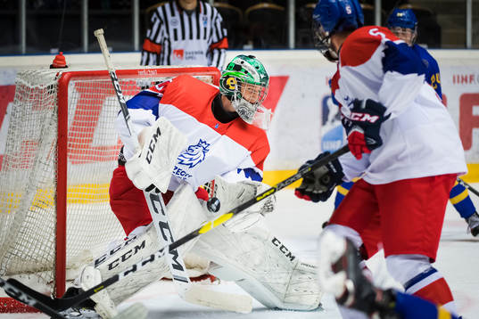 the czech republic Goalkeeper Radek Bednar