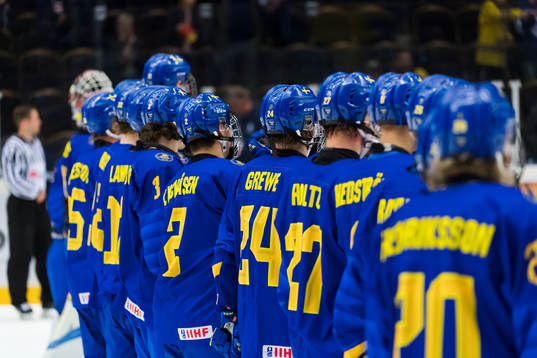 Swedens team