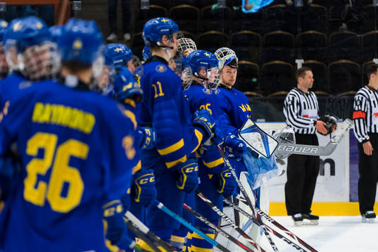 Swedens team and Goalkeeper Hugo Alnefelt of Sweden