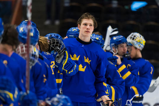 Swedens team