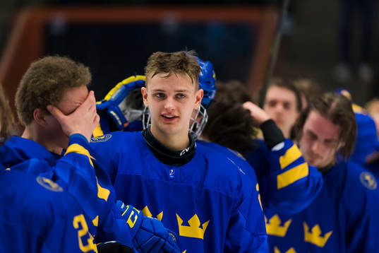 Swedens team