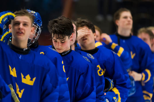 Swedens team