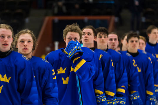 Swedens team