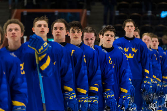 Swedens team