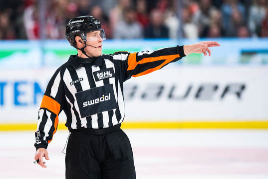 Domare Tobias Björk
