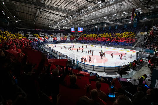 Tifo i Hovet