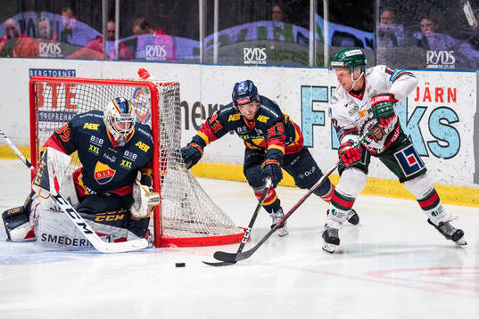 Djurgårdens målvakt Adam Reideborn och Linus Hultström