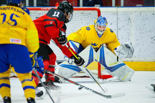 Hugo Alnefelt of Sweden