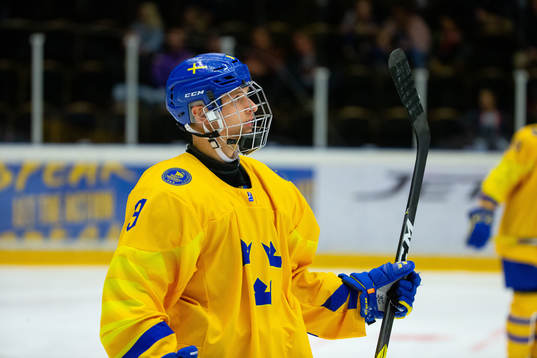 Ludvig Hedström of Sweden