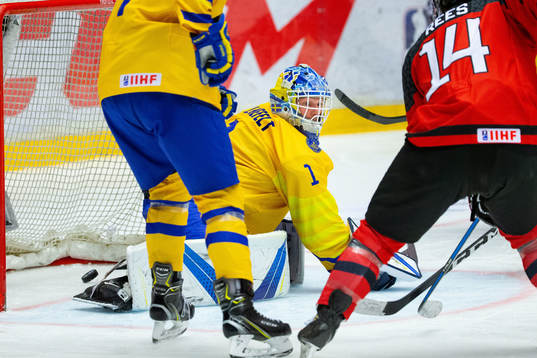 Hugo Alnefelt of Sweden