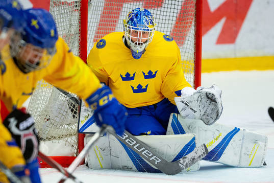 Goalkeeper Hugo Alnefelt of Sweden