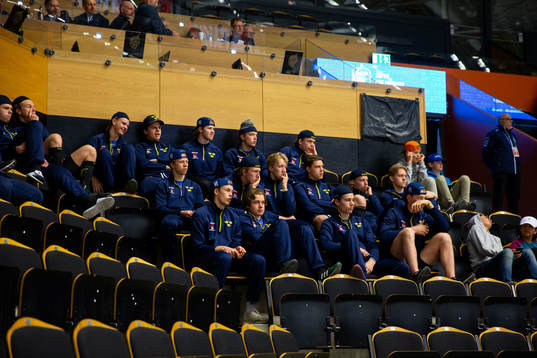 Players of Sweden in the stands