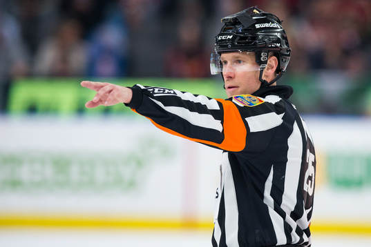 Domare Tobias Björk