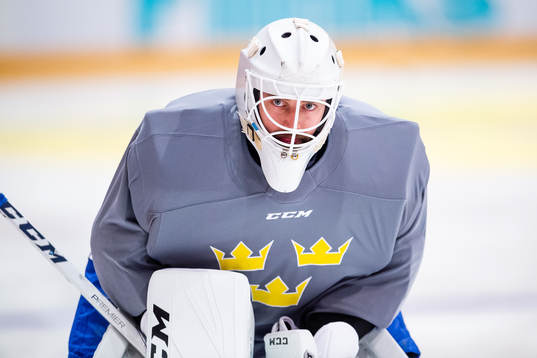 Goalkeeper Jhonas Enroth