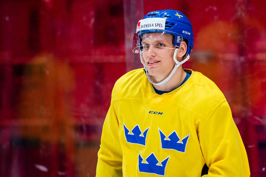 Anton Wedin