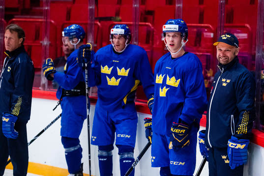Loui Eriksson and Elias Pettersson