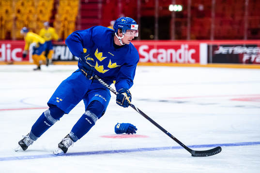 Loui Eriksson