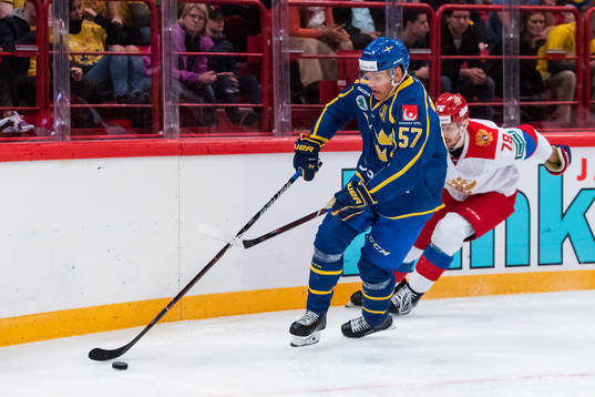 Anton Wedin of Sweden and Alexander Kadeikin of Russia