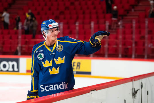 Loui Eriksson of Sweden