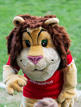Kalmar FFs maskot Leo