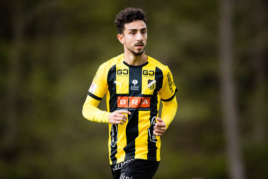 Häckens Daleho Irandust