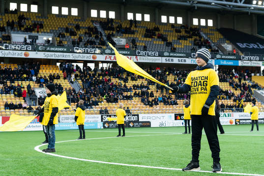 Ungdomar med fanor