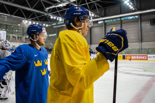 William Nylander and Loui Eriksson of Sweden at a practice