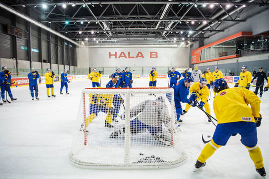 Patric Hörnqvist, William Nylander, Dennis Rasmussen and