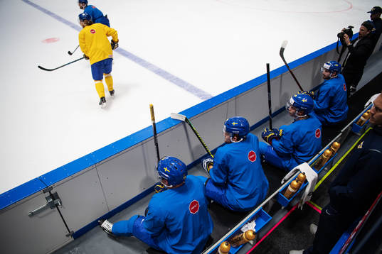 Patric Hörnqvist, William Nylander, Elias Pettersson and