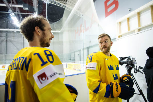 Marcus Pettersson and Mattias Ekholm of Sweden