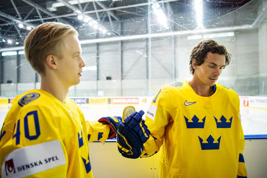Elias Pettersson and Loui Eriksson of Sweden