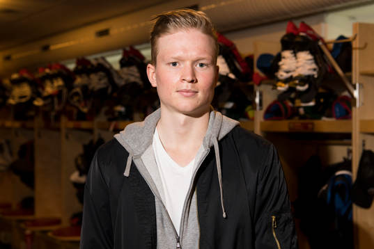 Nyförvärvet Julius Bergman