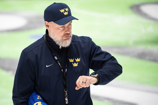 Head coach Rikard Grönborg of Sweden at a practice session