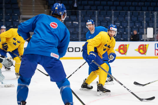Patric Hörnqvist and Marcus Pettersson of Sweden at a