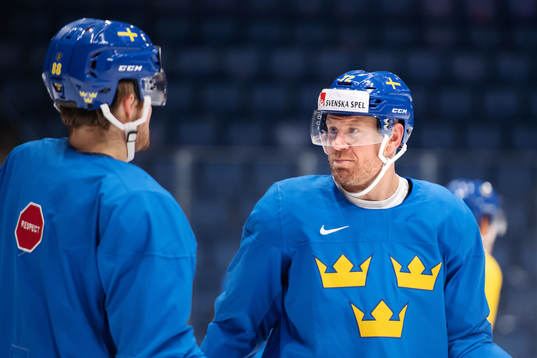 William Nylander and Patric Hörnqvist of Sweden at a