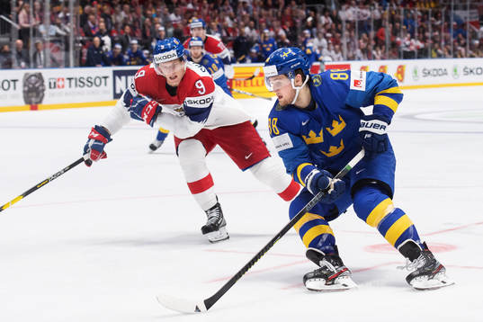David Sklenicka of Czech Republic and William Nylander of