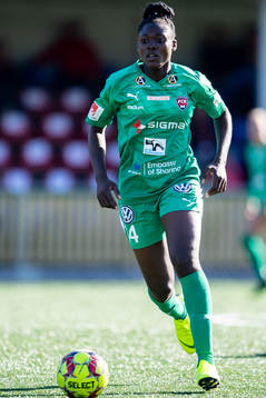 Rosengårds Anam Imo