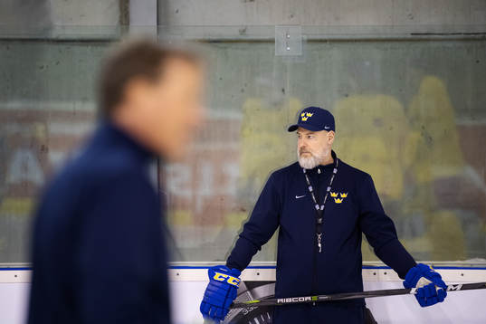 Head coach Rikard Grönborg of Sweden at a practice session
