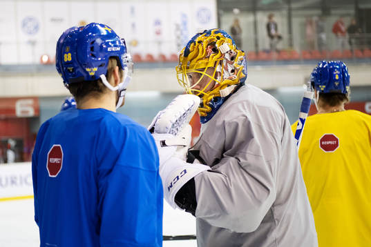 William Nylander and goaltender Jacob Markström and Anton