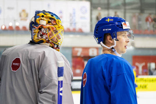 Goaltender Jacob Markström and Elias Pettersson of Sweden