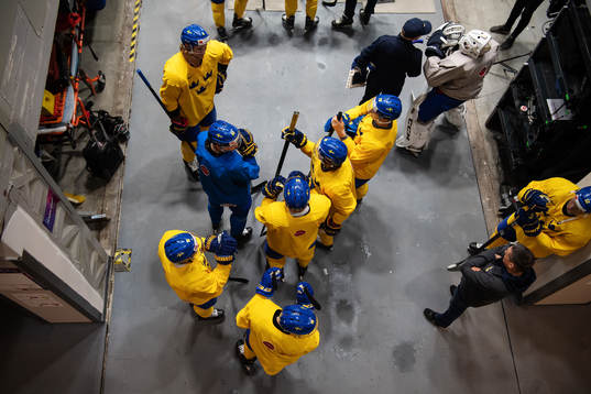 Players of Sweden
