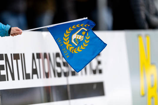 Halmstads flagga