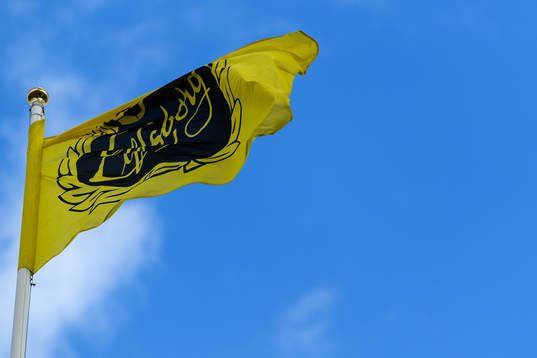 Elfsborgs flagga