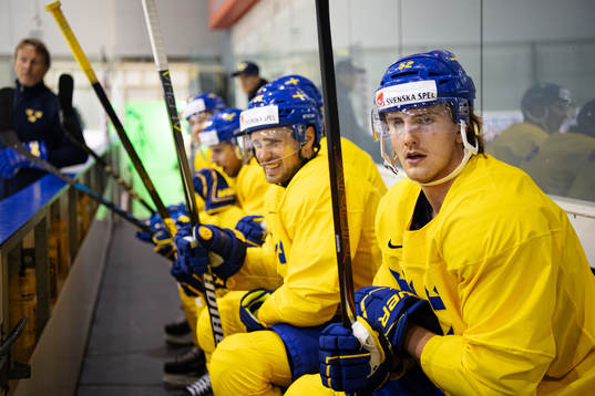 Philip Holm of Sweden at a practice session