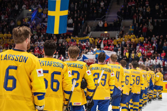 Players of Sweden