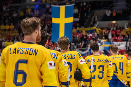 Players of Sweden