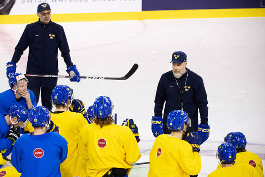 Head coach Rikard Grönborg of Sweden at a practice session