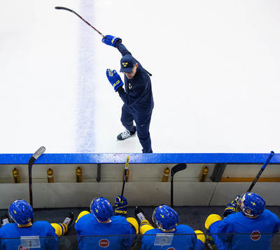 Assistant coach Peter Popovic of Sweden gives instructions