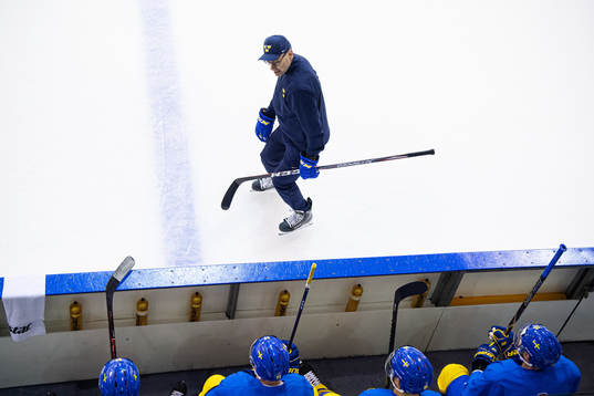 Assistant coach Peter Popovic of Sweden gives instructions