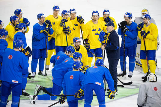 Head coach Rikard Grönborg of Sweden at a practice session